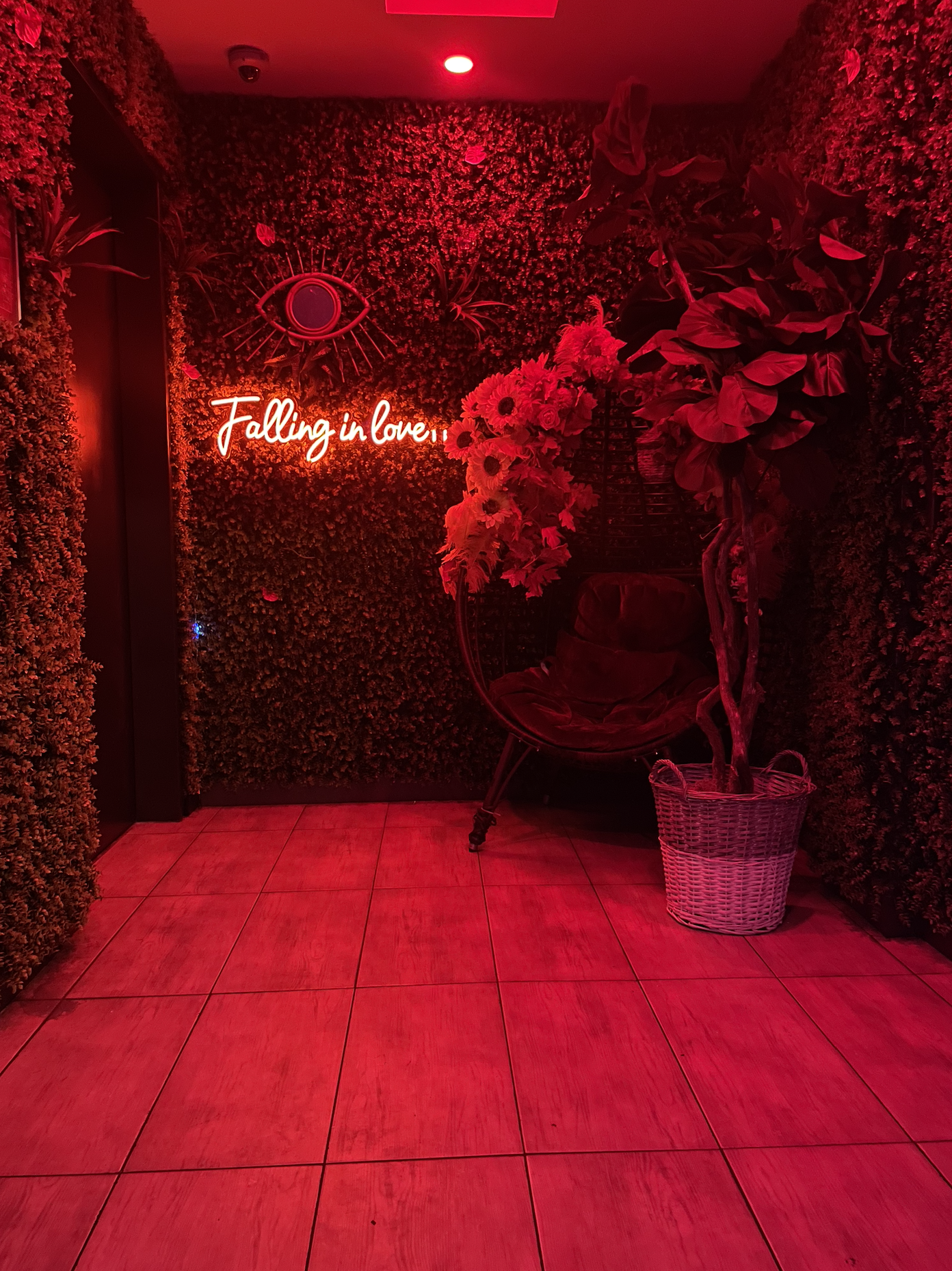 Highkey Rainforest Rooftop, rooftop in Brooklyn — photo 3