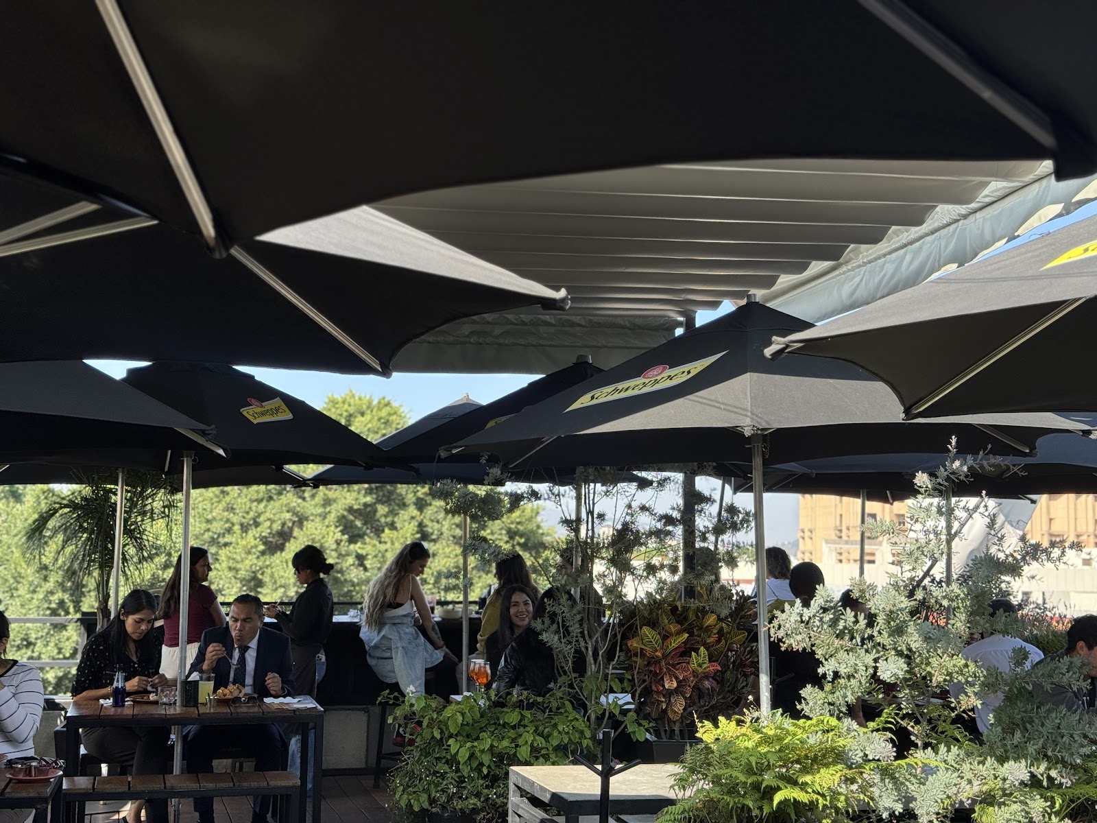 La Azotea, rooftop in Mexico City — photo 3
