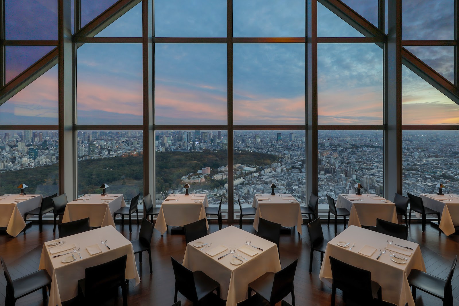 New York Bar and Grill, rooftop in Tokyo — photo 6