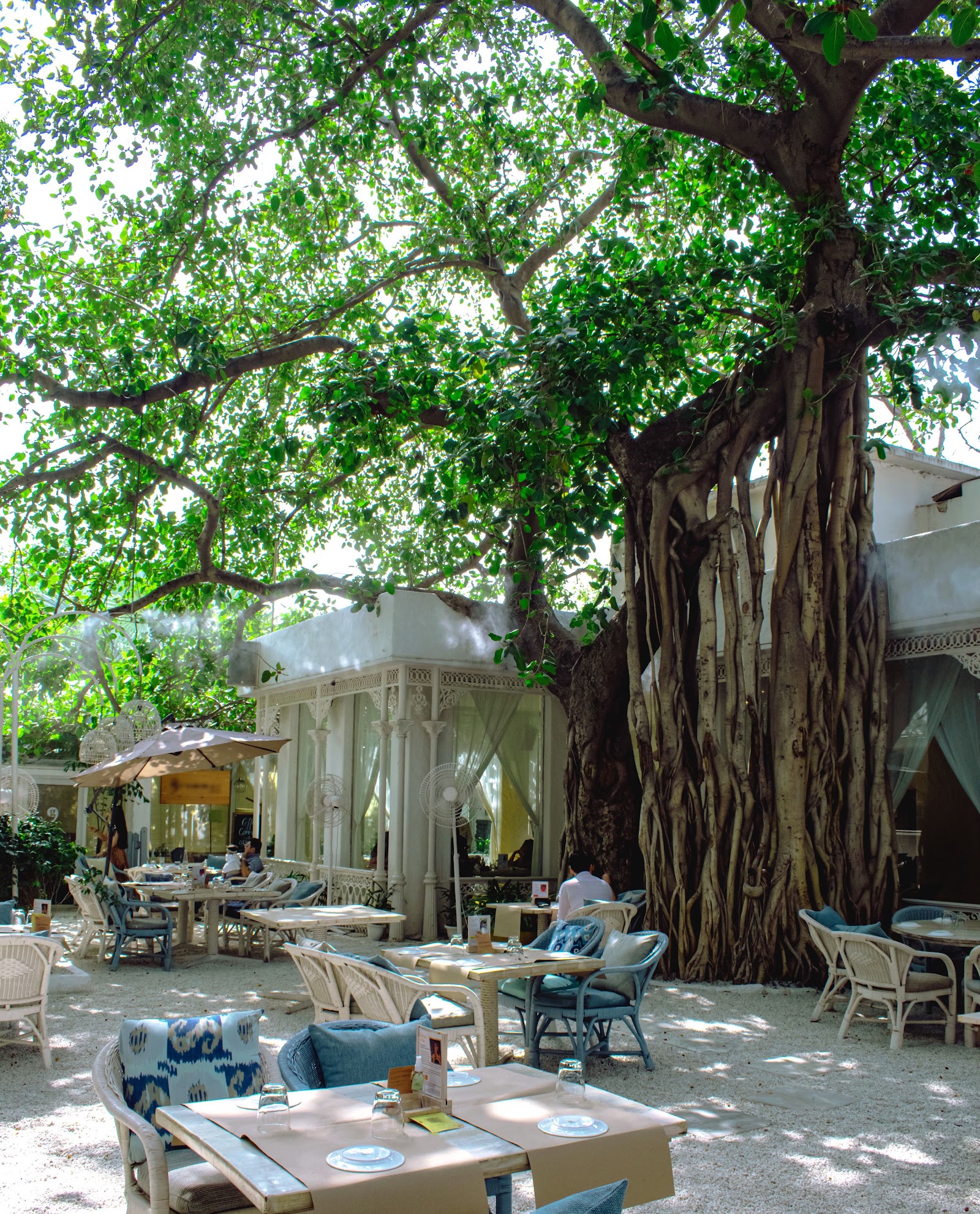 Olive Bar & Kitchen, rooftop in Delhi — photo 3