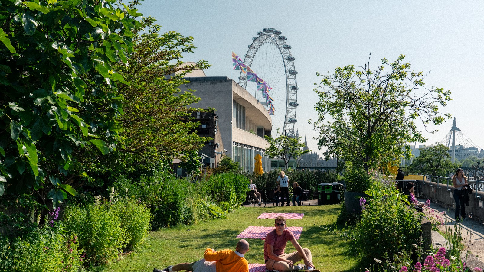 Queen Elizabeth Hall Roof Garden, rooftop bar in London