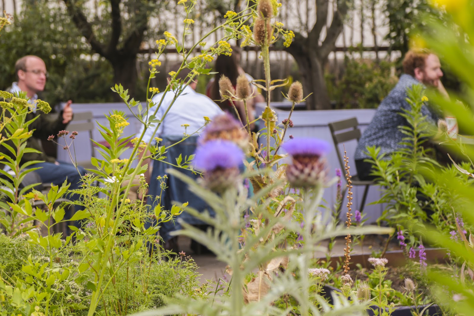 Queen Elizabeth Hall Roof Garden, rooftop in London — photo 3