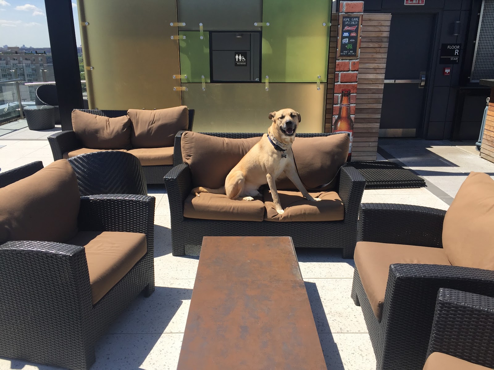 Top of the Yard Rooftop Bar & Bites rooftop bar