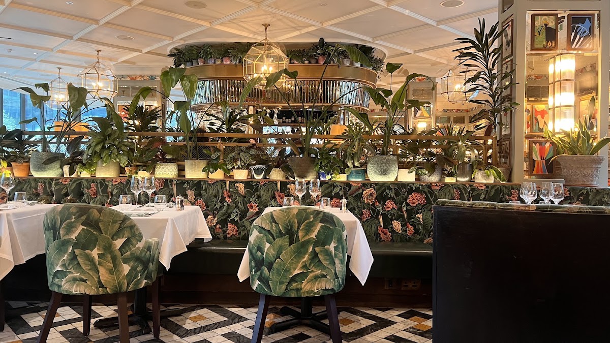 The Ivy Manchester Brasserie — photo 2