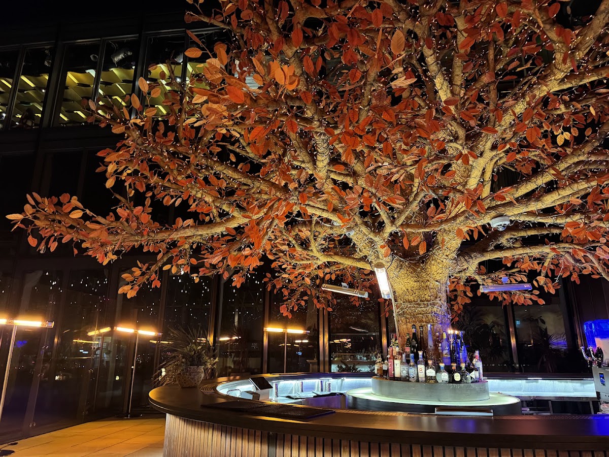 Sushisamba City — photo 2