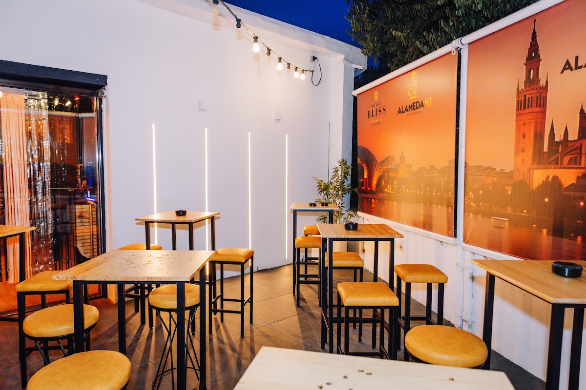 Alameda 47 Rooftop Bar & Club — photo 2