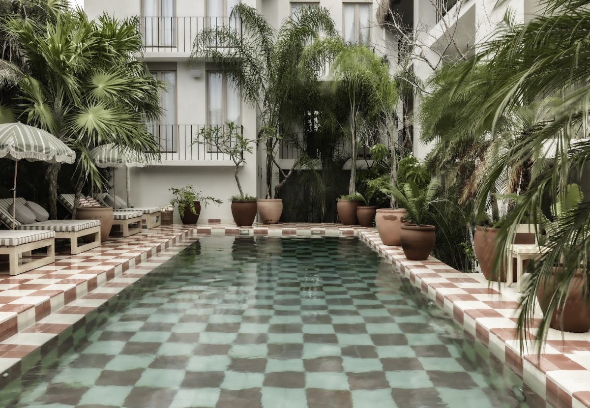 Distrito Panamera: Restaurant, Rooftop, Beachclub & Art — photo 3