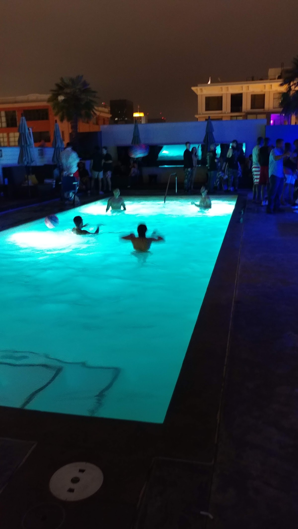 FLOAT Rooftop Lounge — photo 3