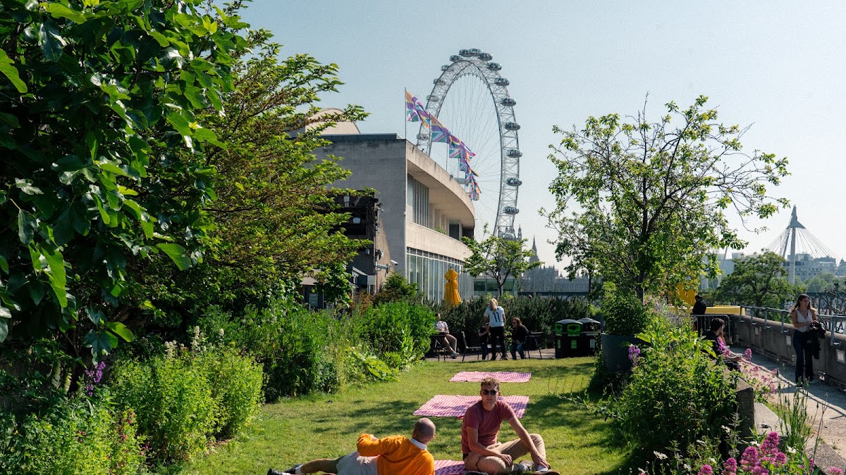 Queen Elizabeth Hall Roof Garden — photo 3