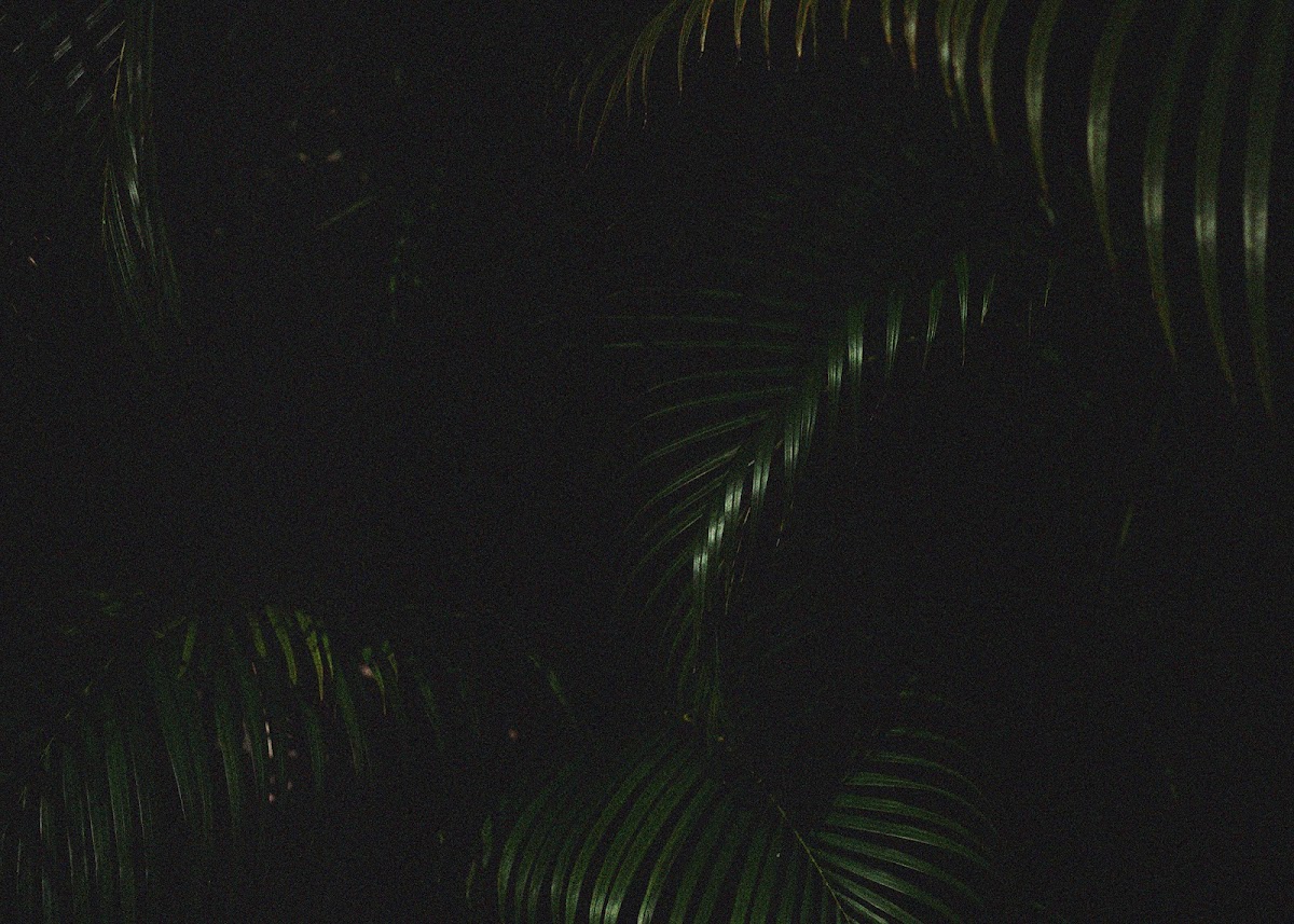 The Will & The Way — photo 3