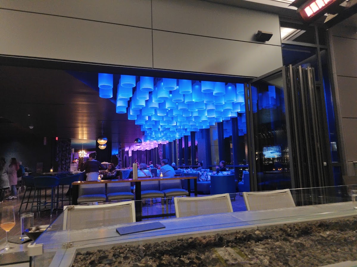 The Xport Rooftop Lounge — photo 3