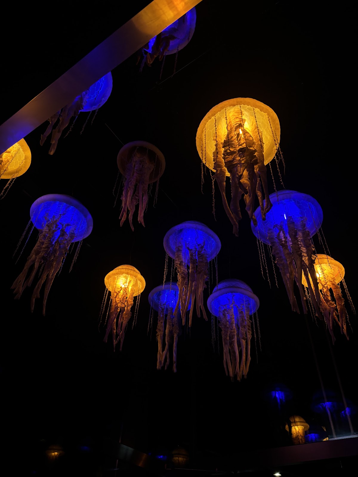 SOLAR Sky-Bar Restaurant Lounge — photo 3