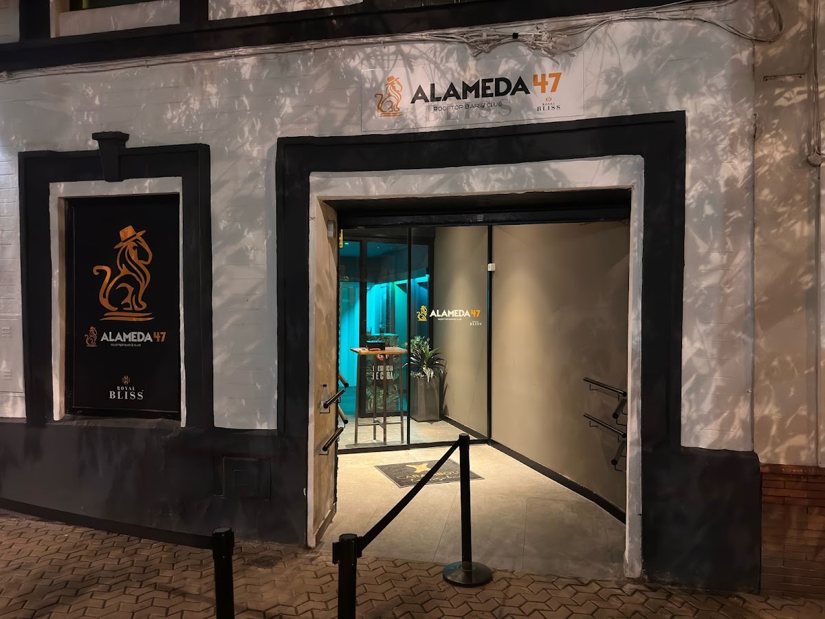 Alameda 47 Rooftop Bar & Club — photo 3