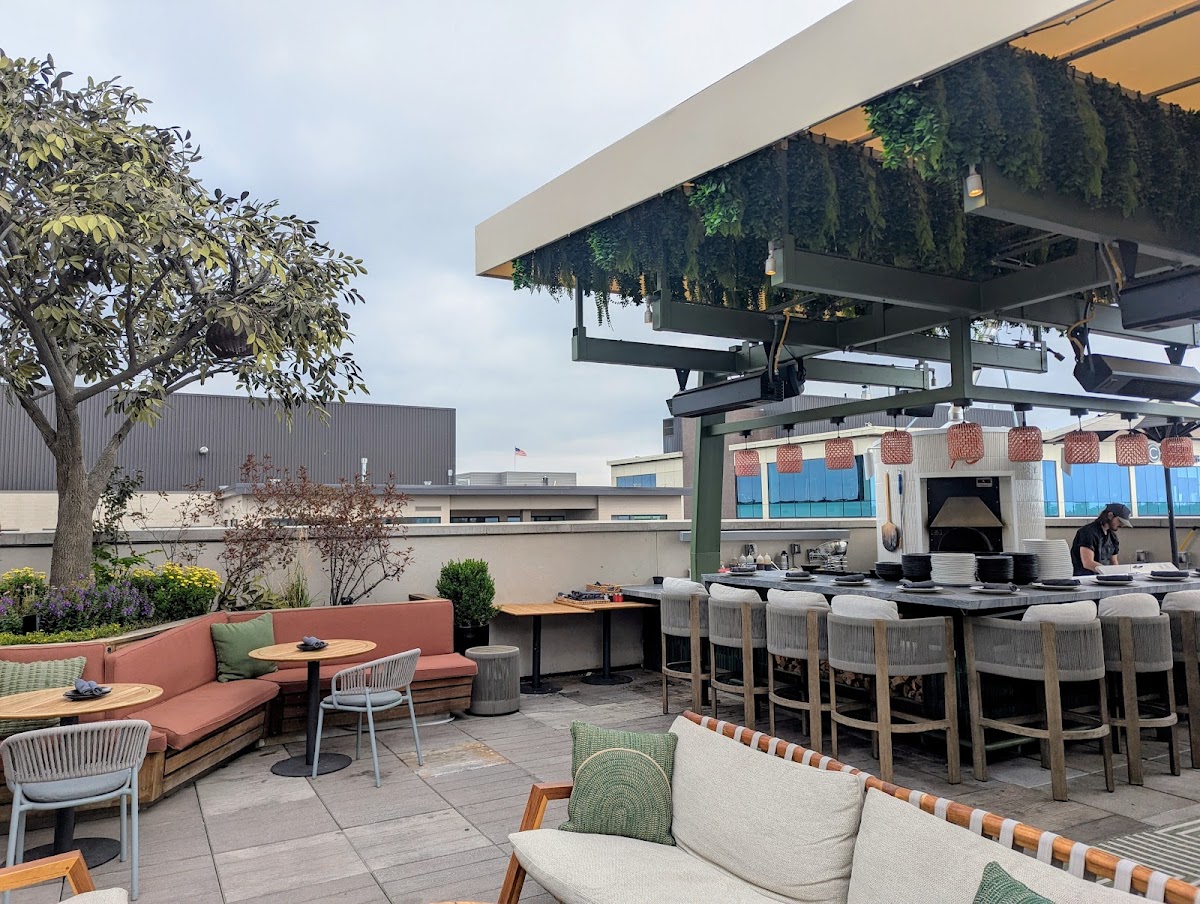 Elevated Rooftop Bar — photo 3