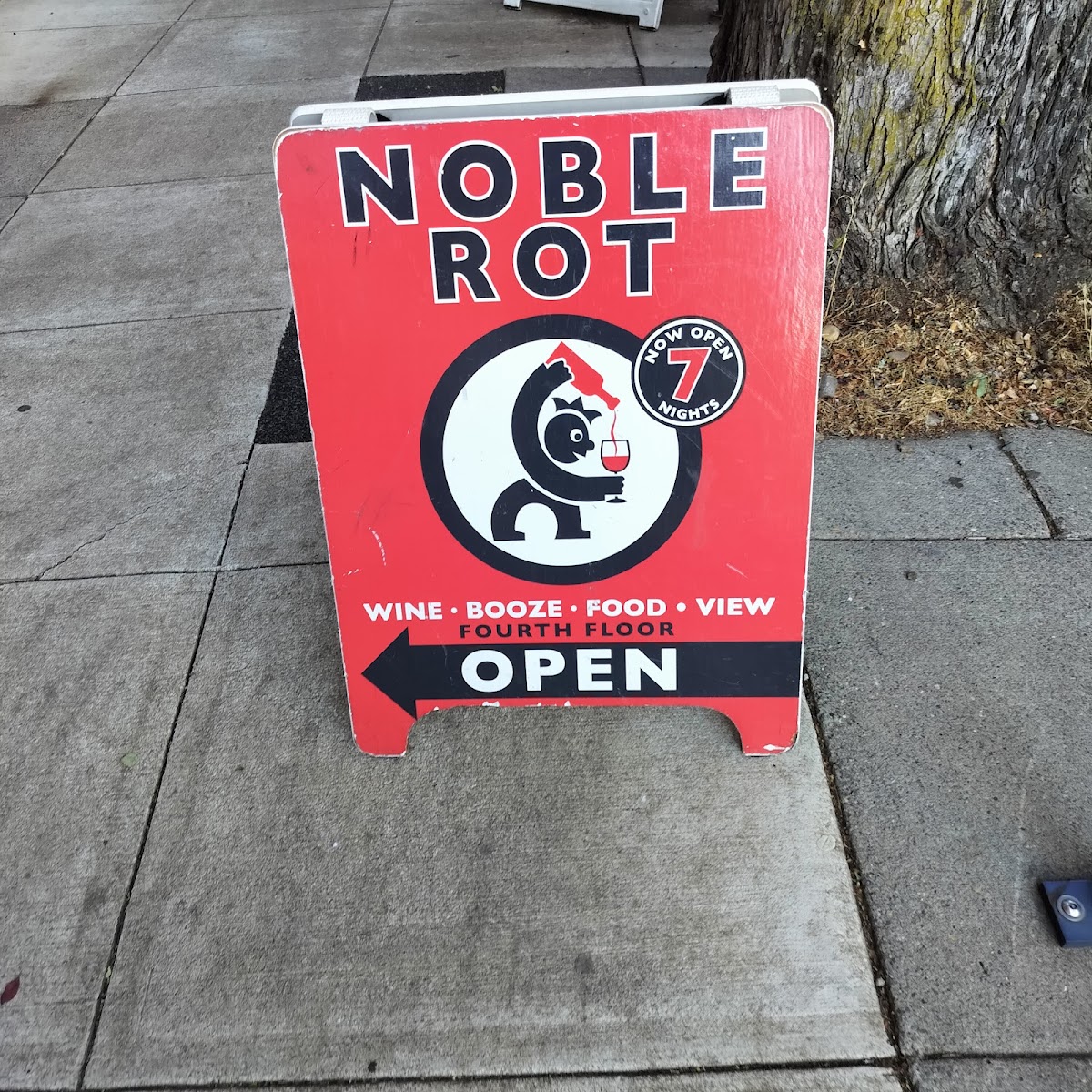 Noble Rot — photo 3