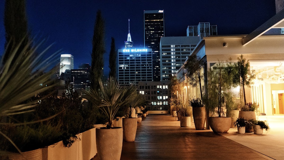 Florentín Rooftop Bar — photo 3