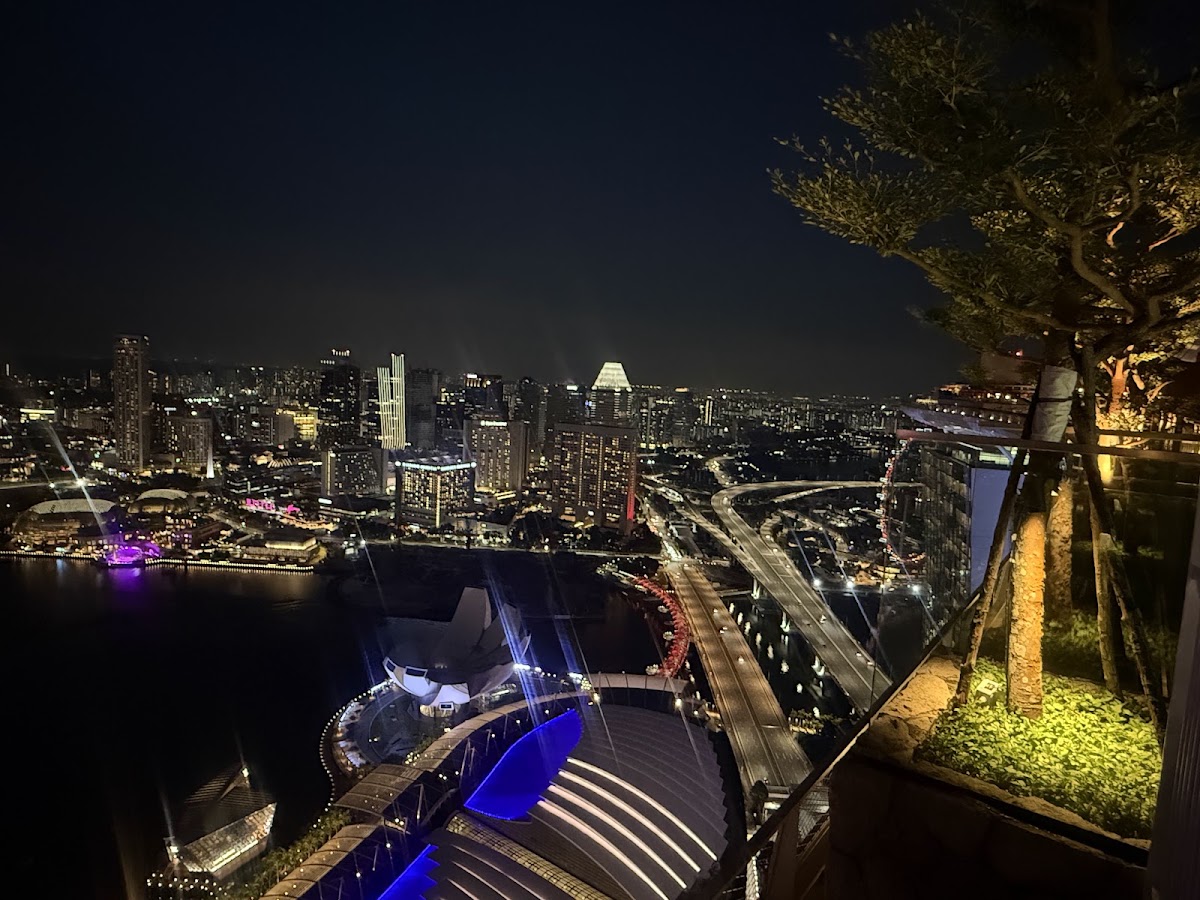 LAVO Coastal Italian Restaurant & Rooftop Bar — photo 4