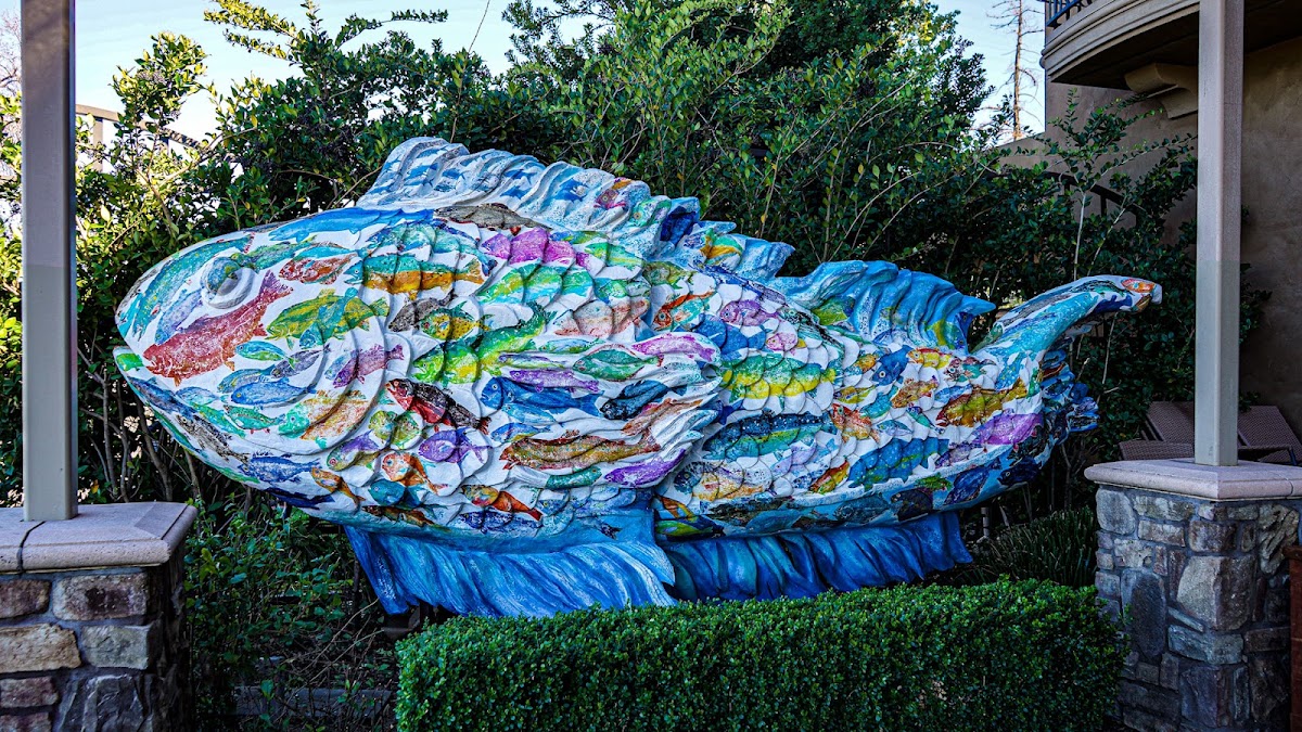 Scott's Seafood on the River — photo 4