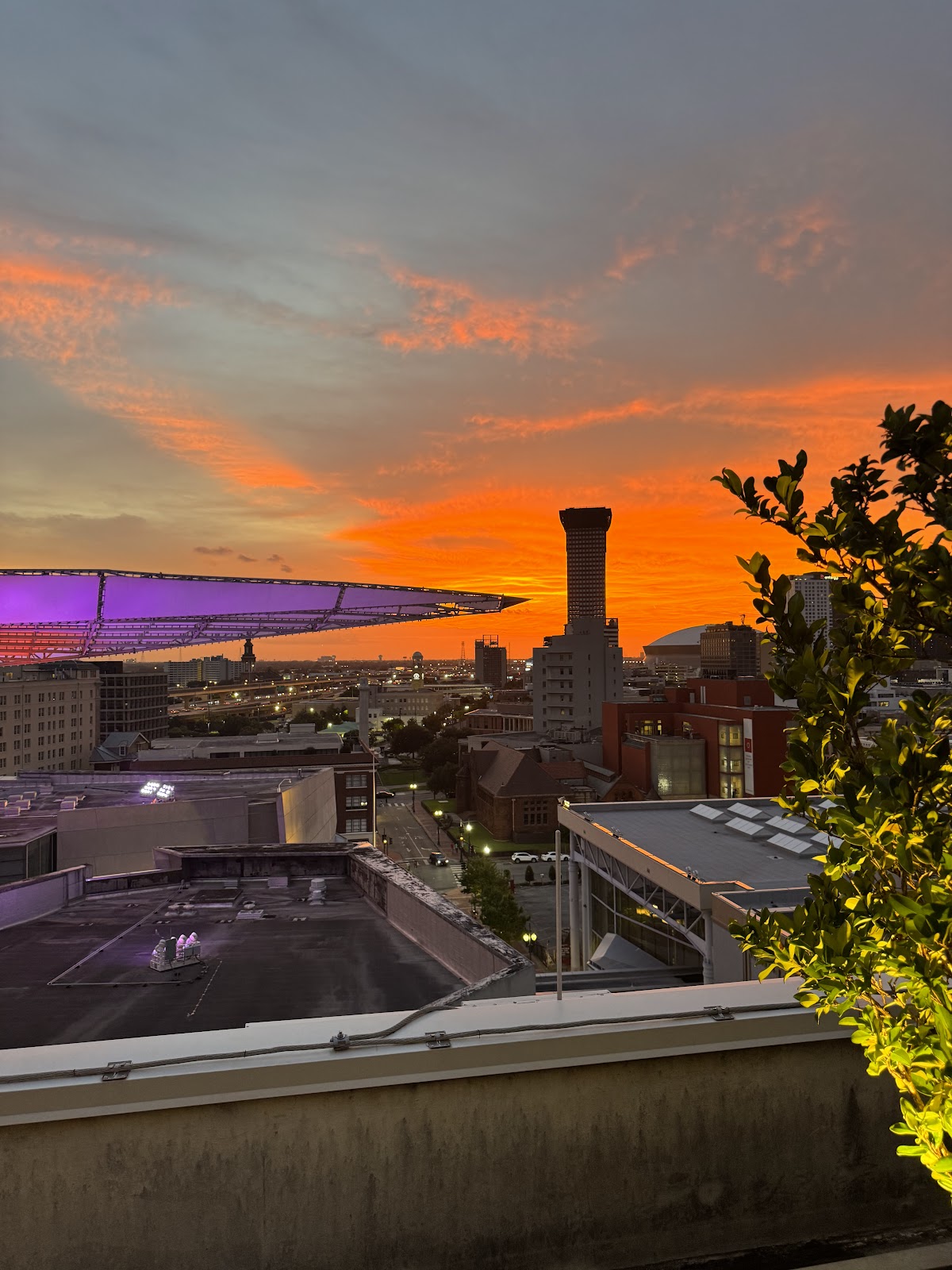 Rosie’s On The Roof — photo 4