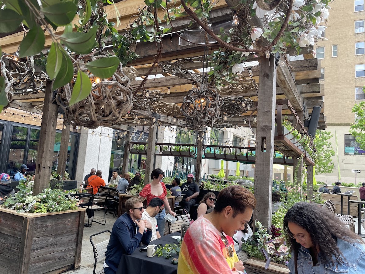Harper's Garden — photo 4