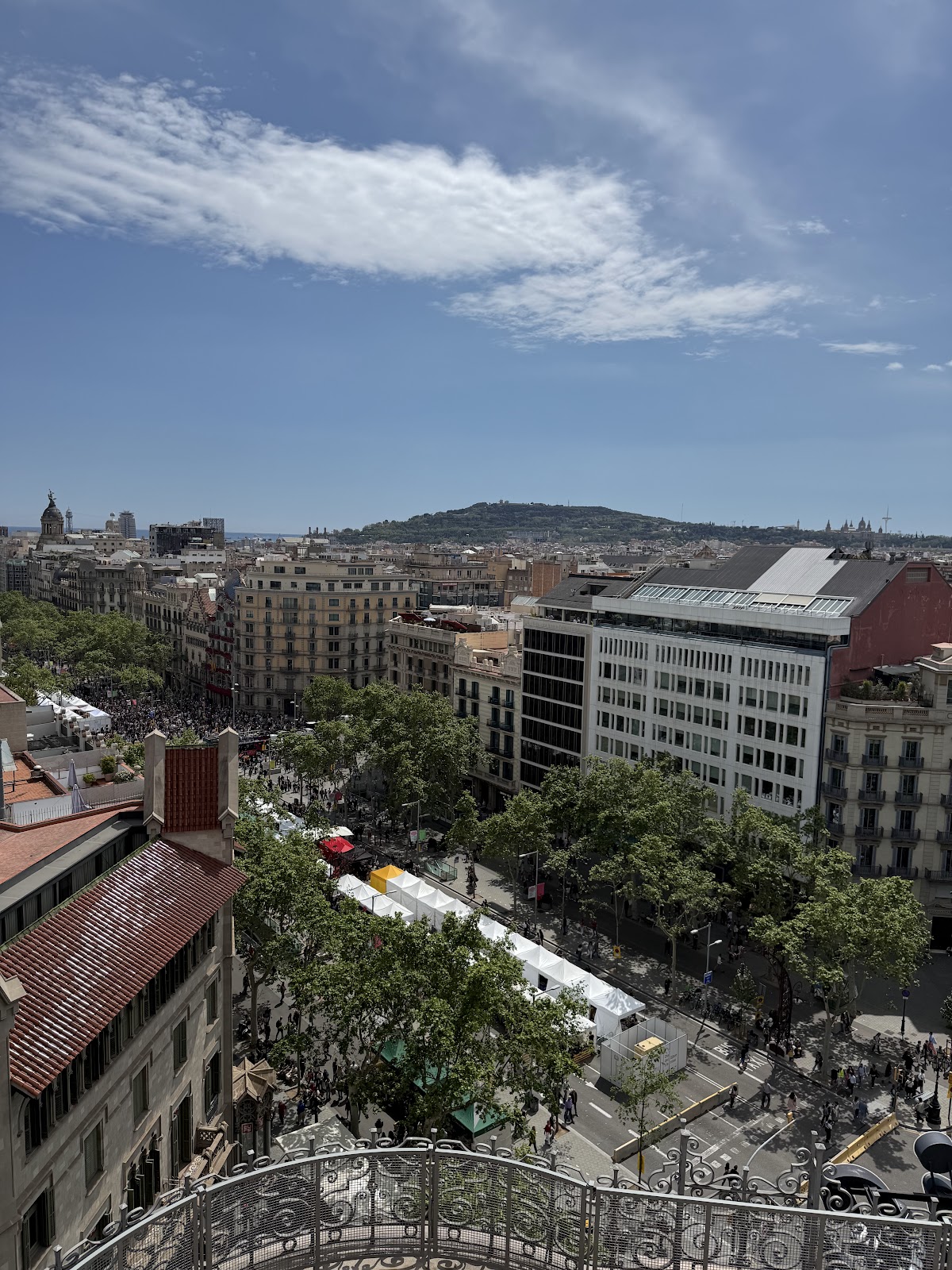 La Dolce Vitae (Pulitzer Terrace) — photo 4