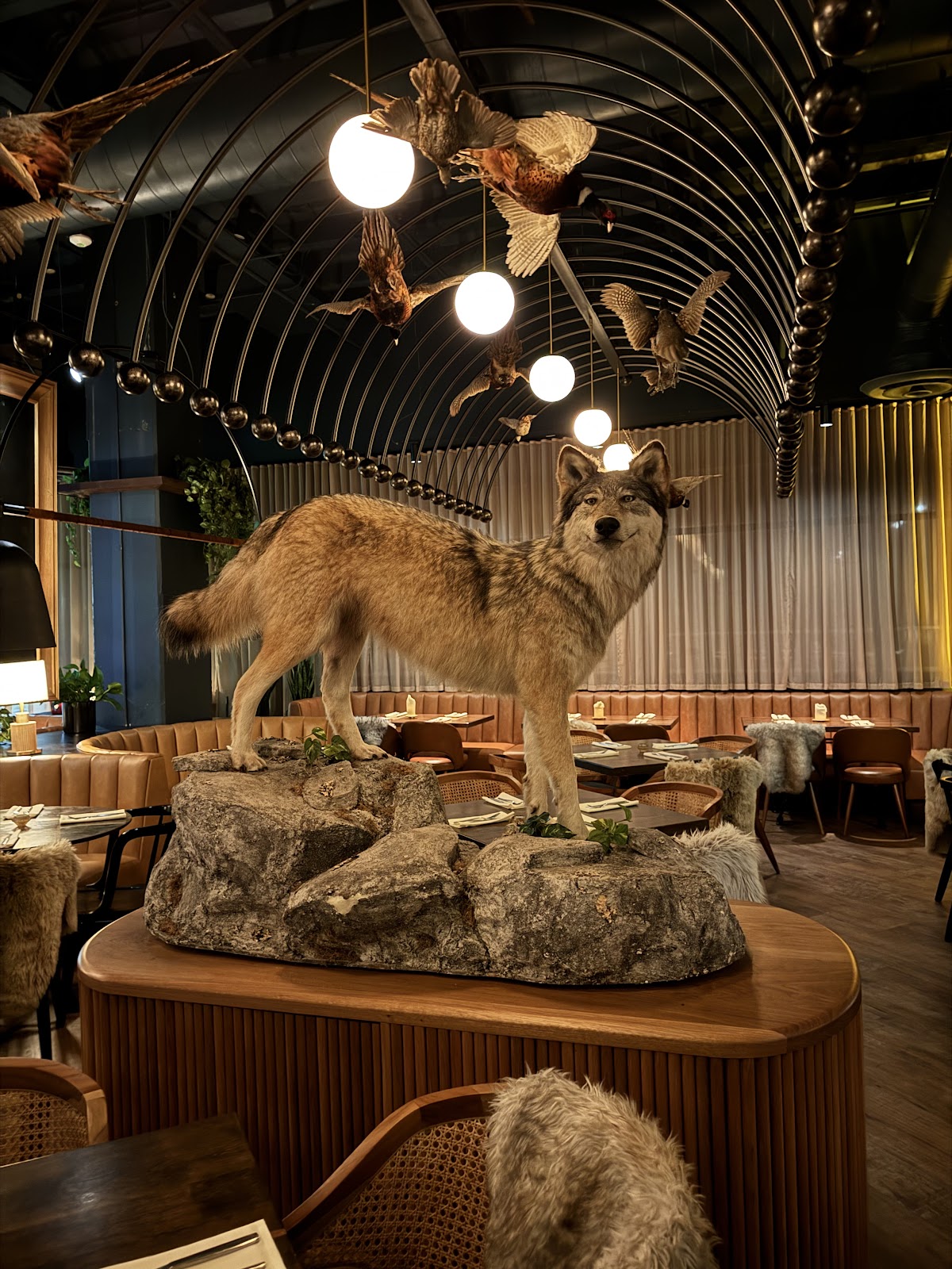 Wren & Wolf — photo 4