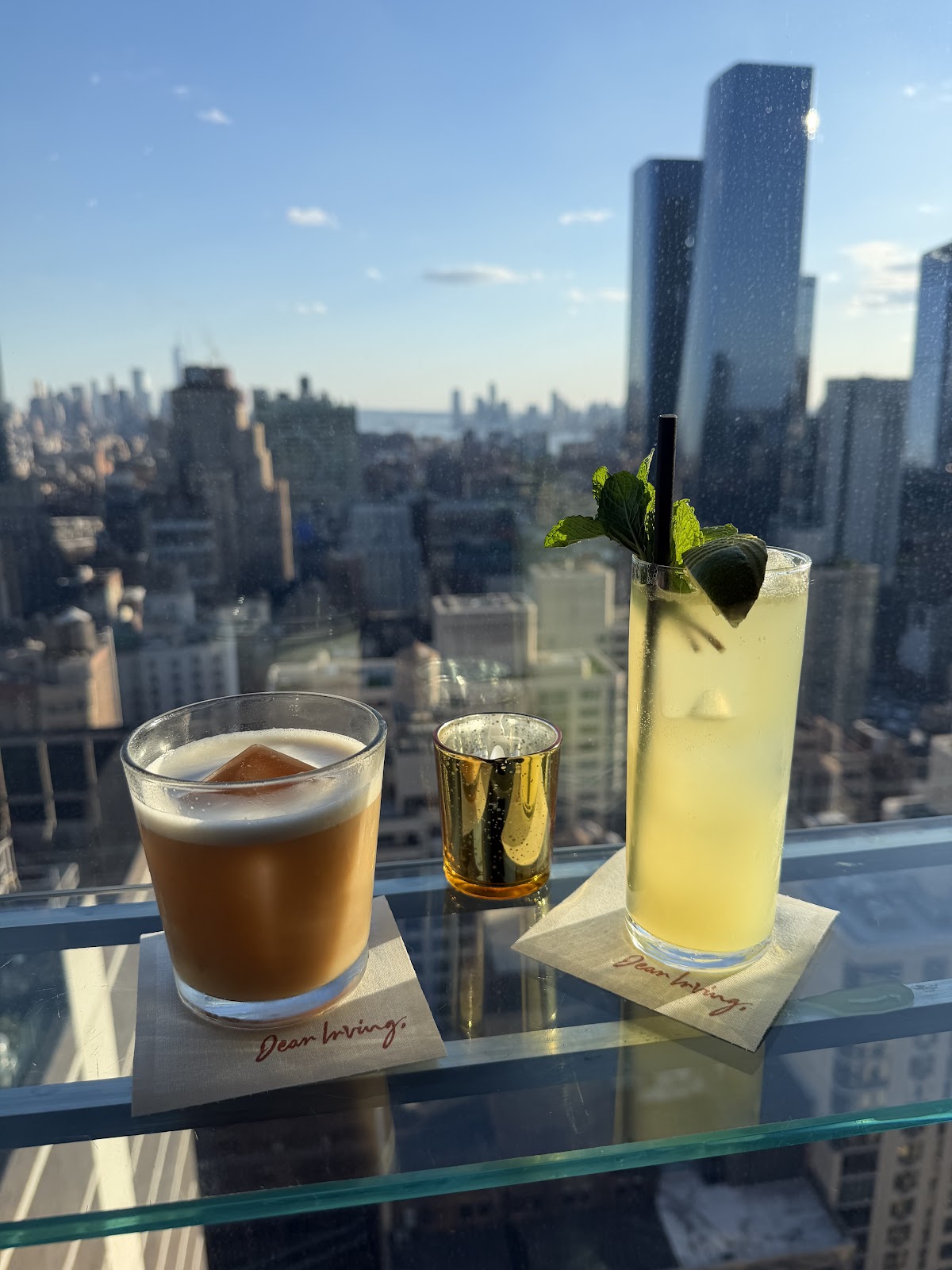 Dear Irving on Hudson Rooftop Bar — photo 4