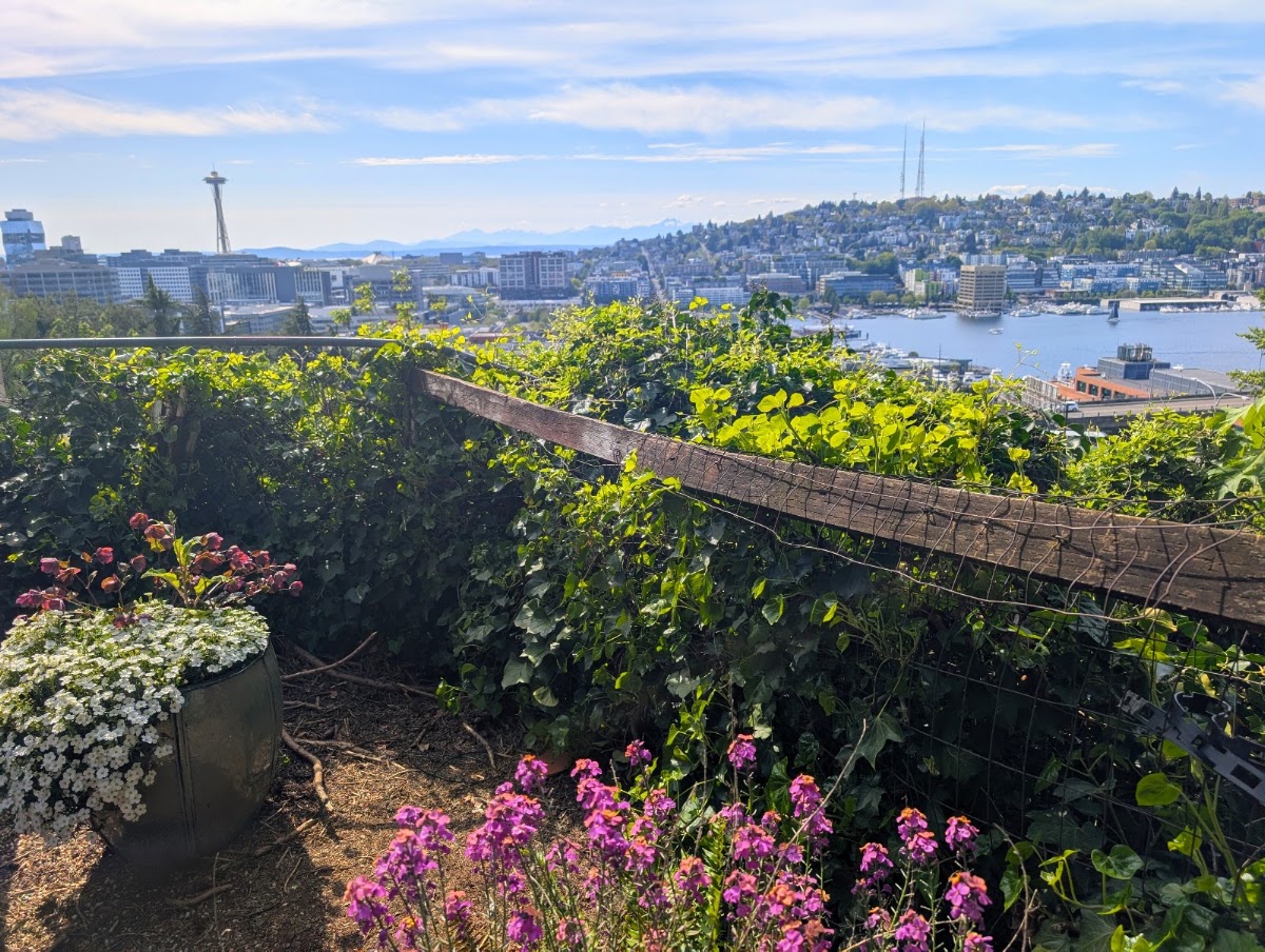 The Lookout — photo 4