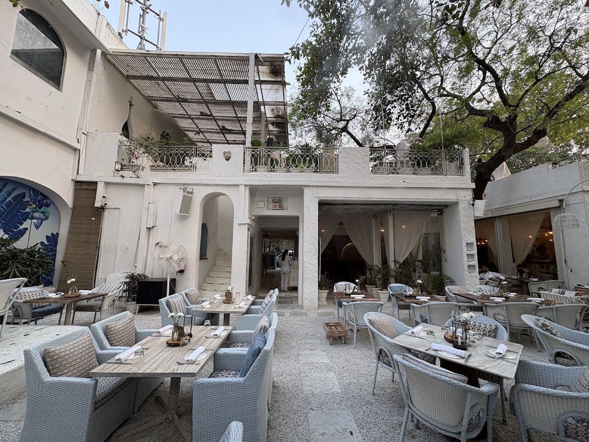 Olive Bar & Kitchen — photo 4