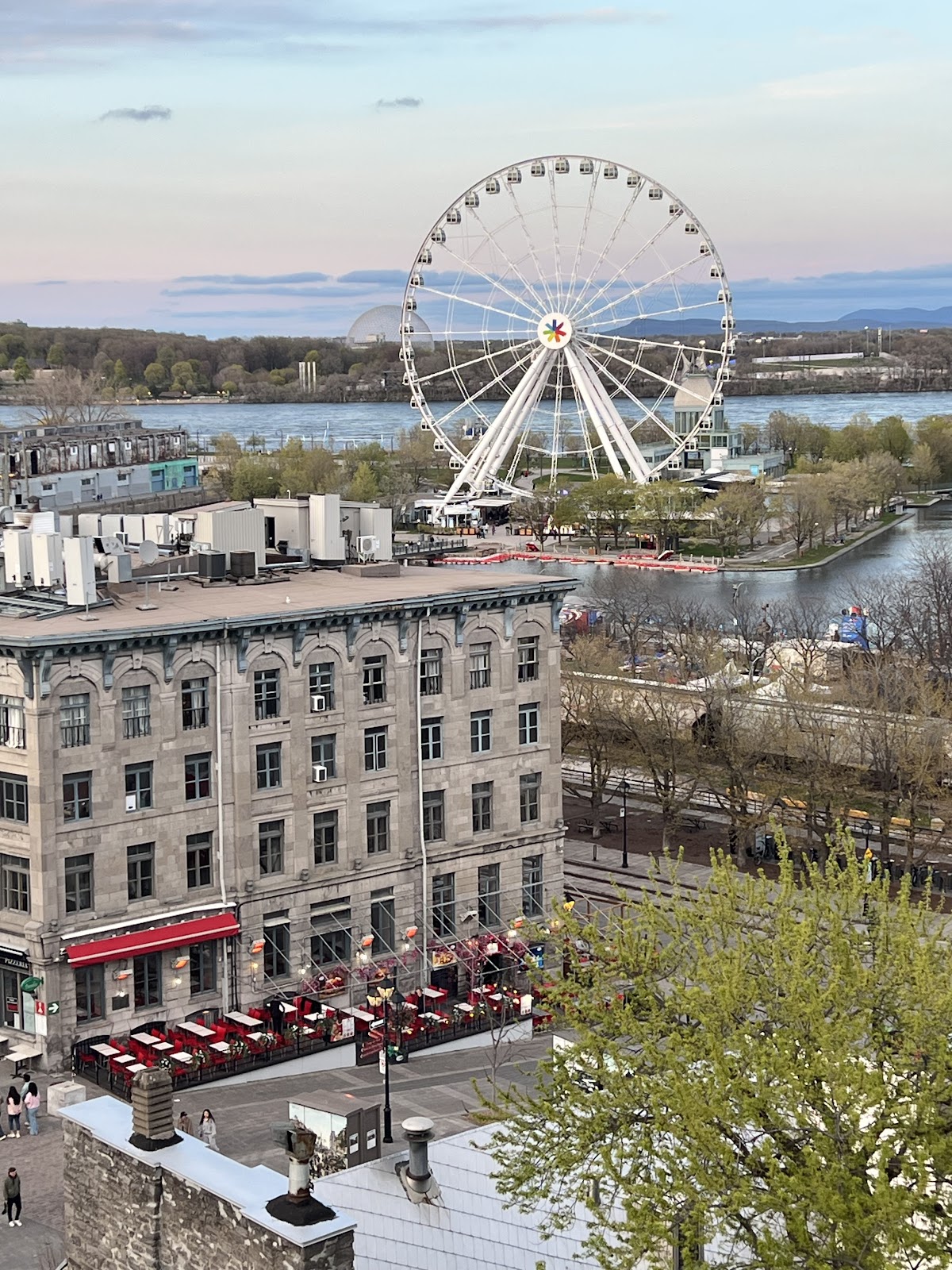 Terrasse William Gray — photo 4