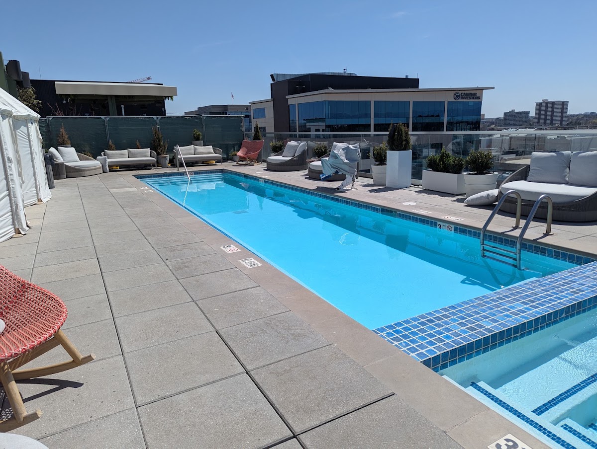 Elevated Rooftop Bar — photo 4