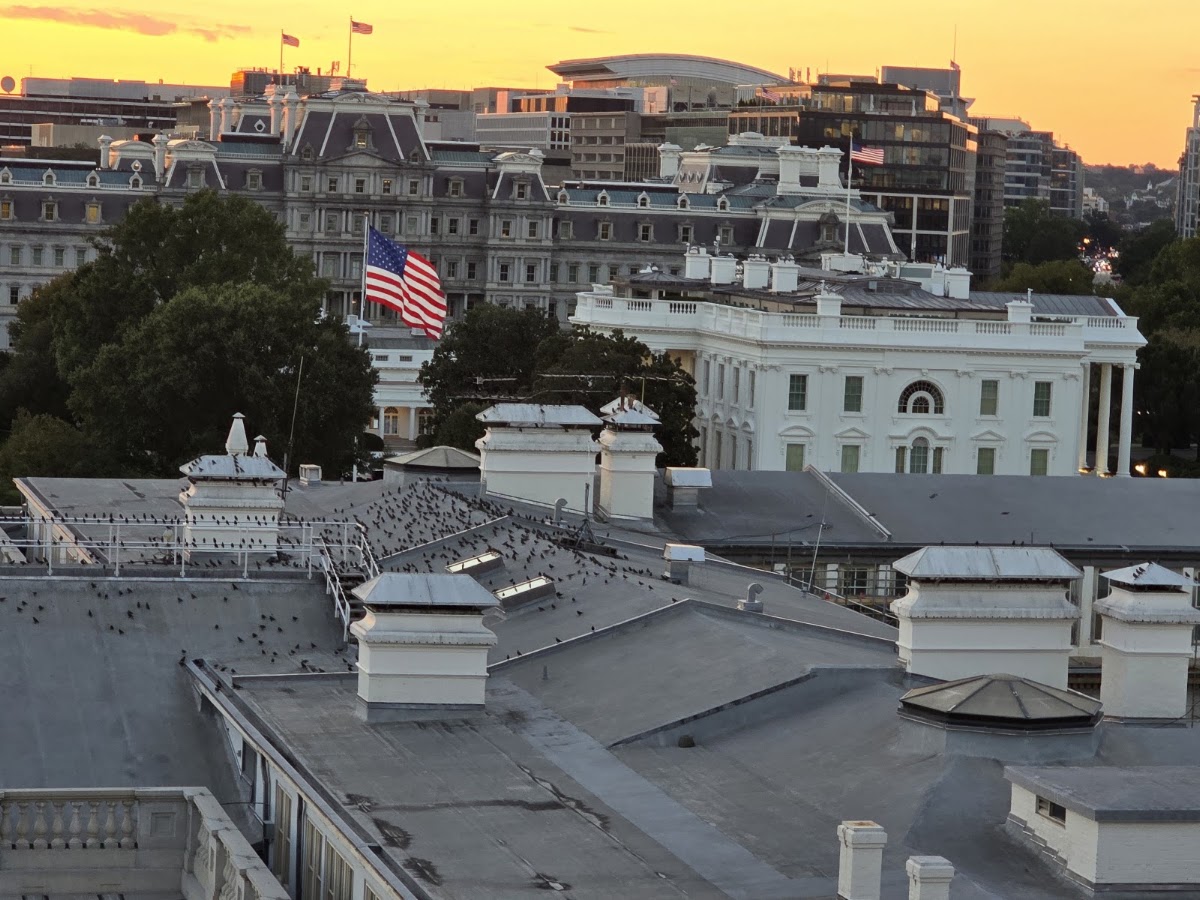 VUE Rooftop — photo 4