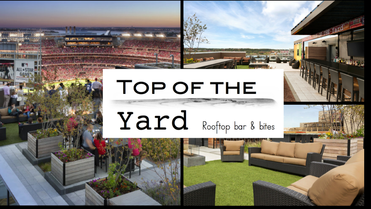 Top of the Yard Rooftop Bar & Bites — photo 4