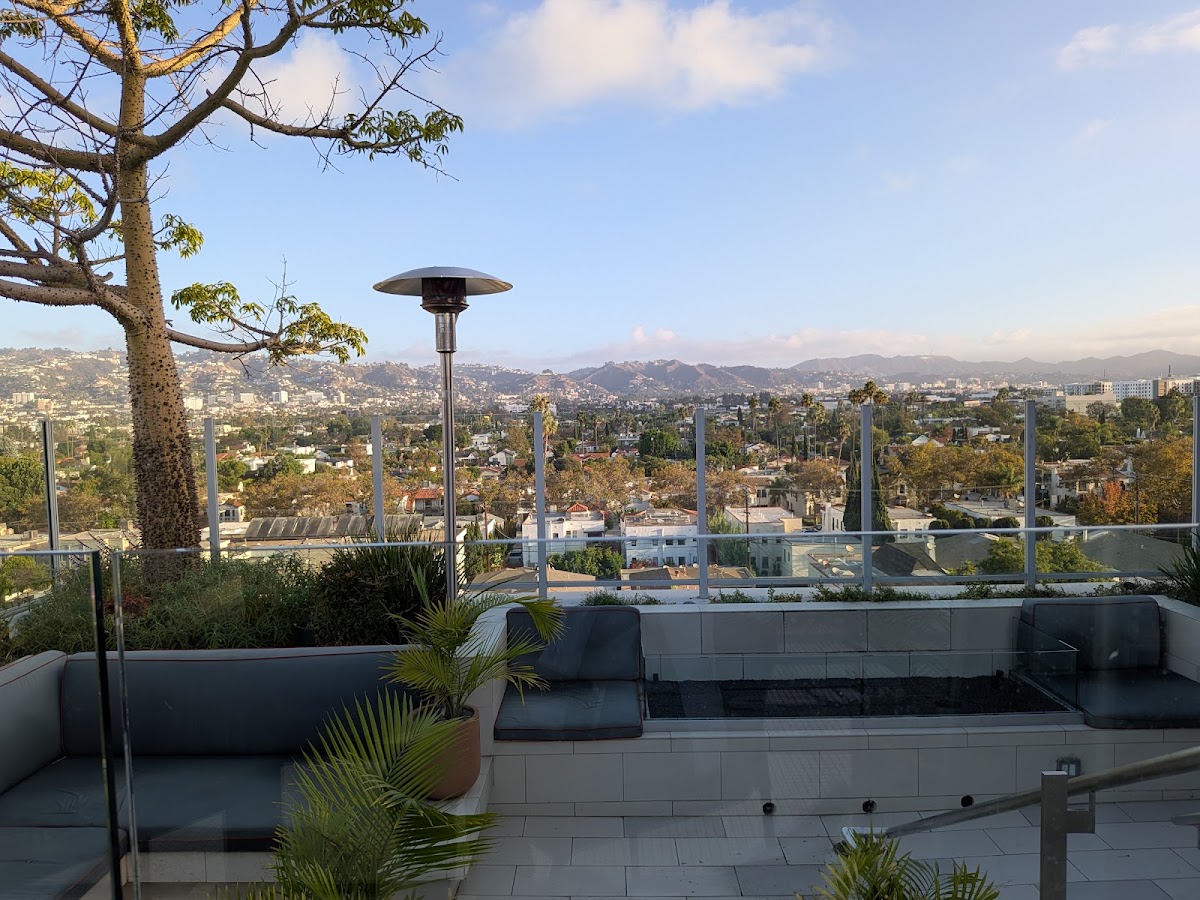 Videre Rooftop Restaurant & Bar — photo 4
