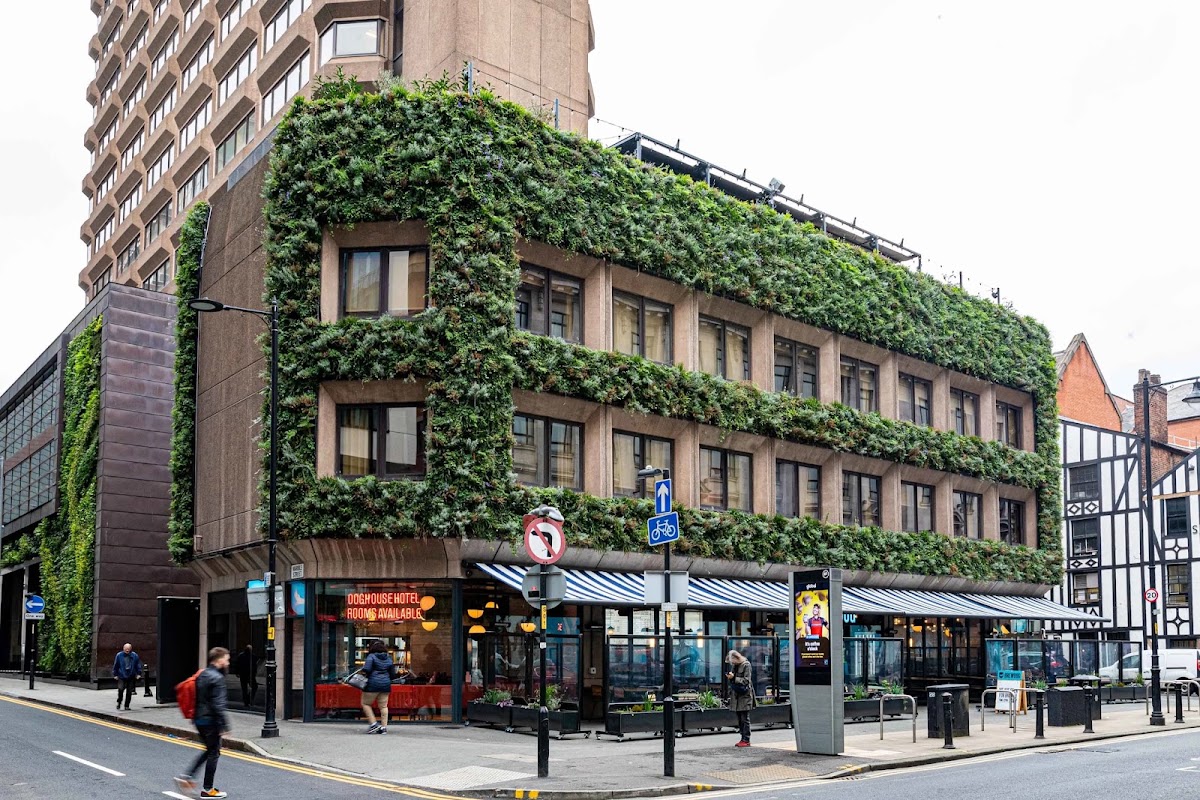 Brewdog DogHouse Manchester Bar & Rooftop — photo 4