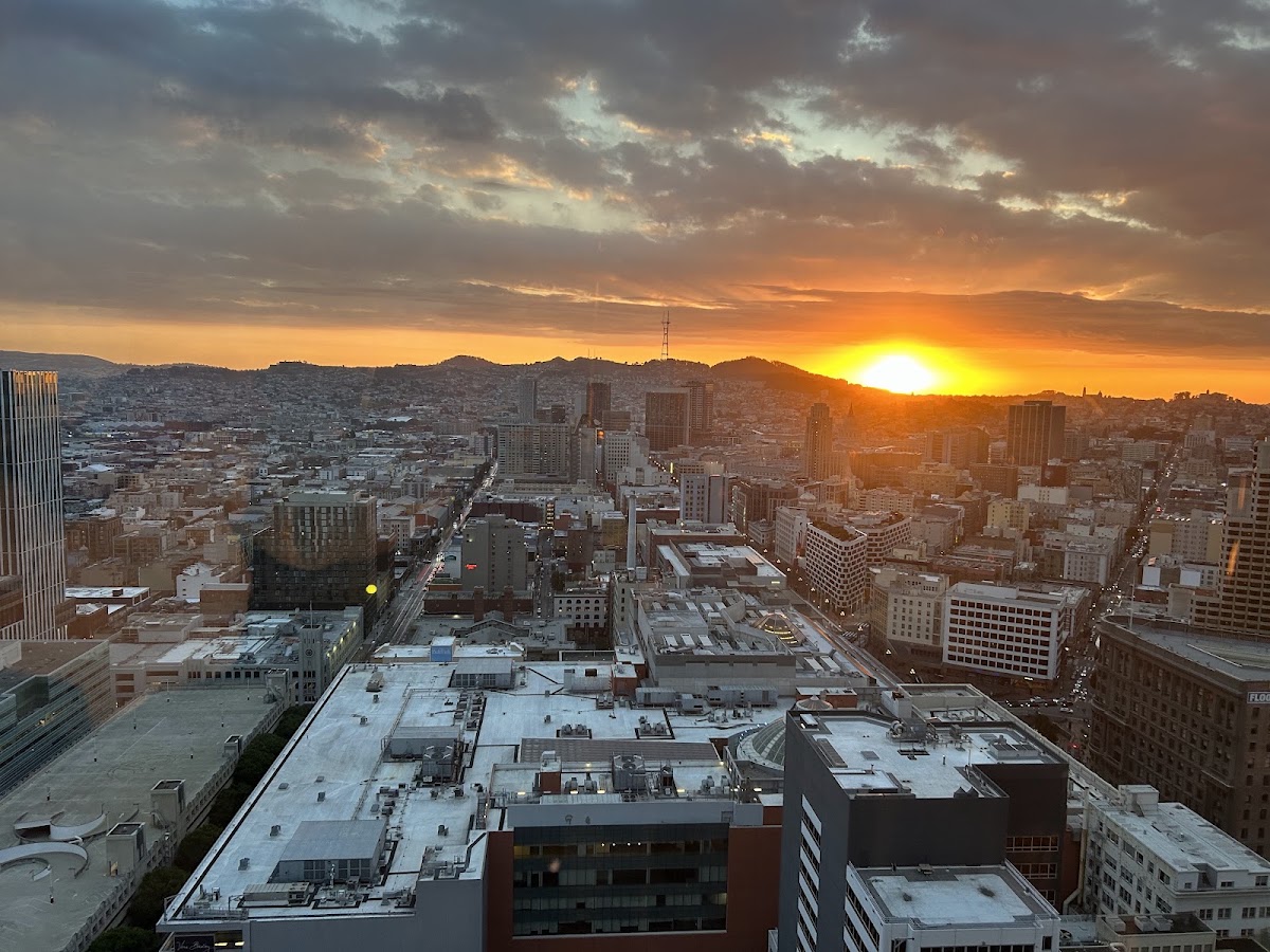 The View Lounge — photo 4