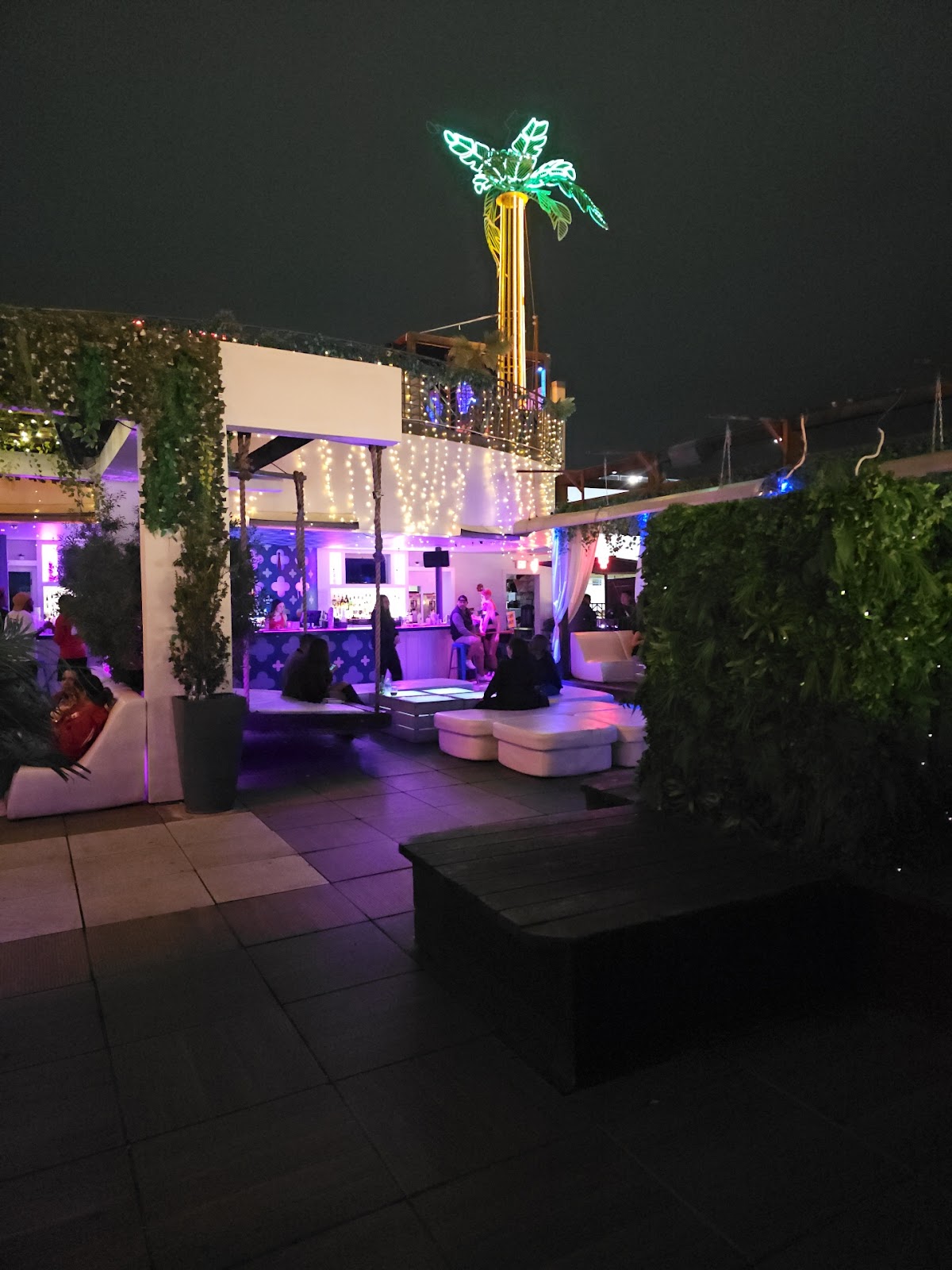 77° Rooftop Patio Bar — photo 4
