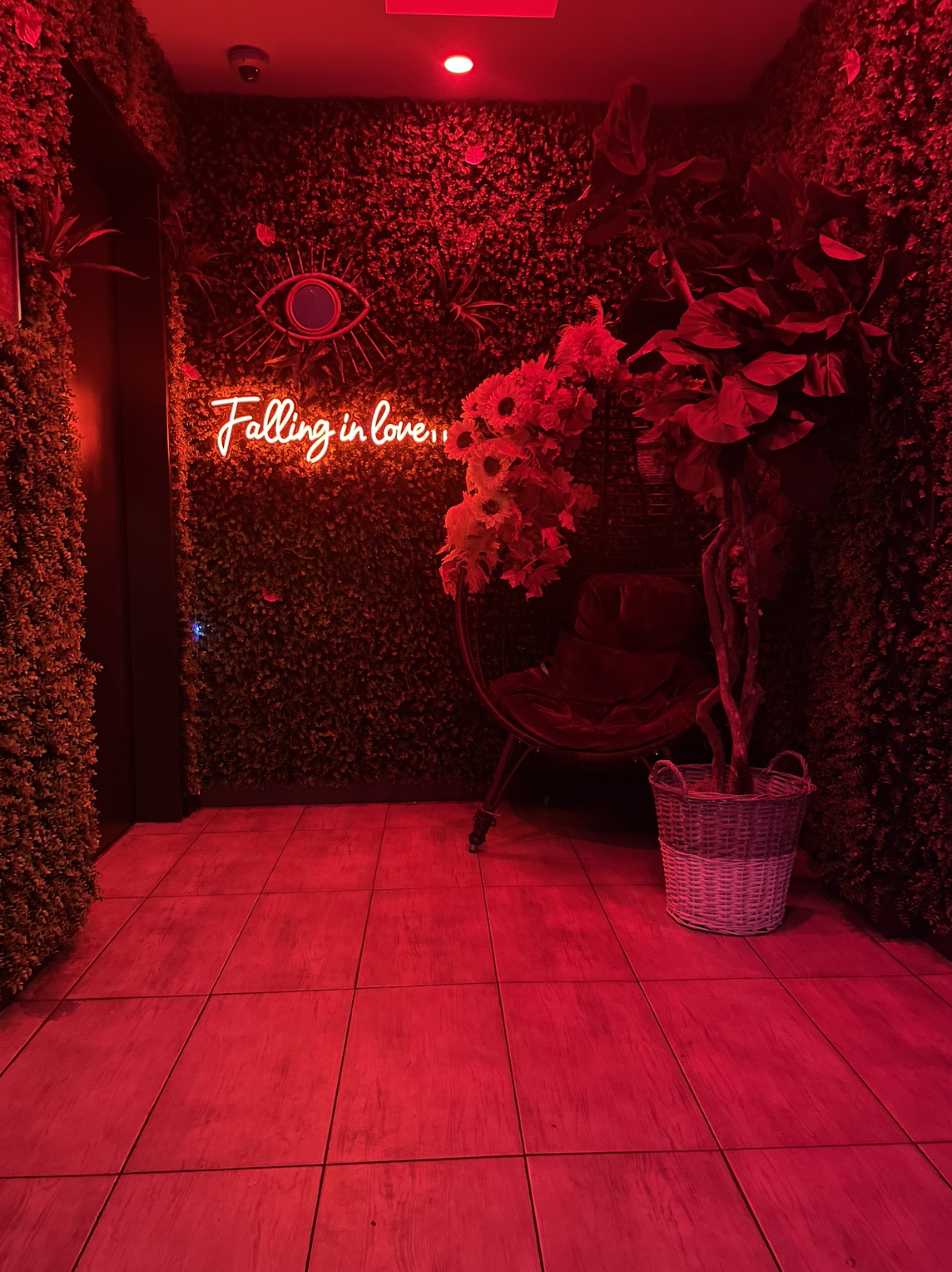 Highkey Rainforest Rooftop — photo 4
