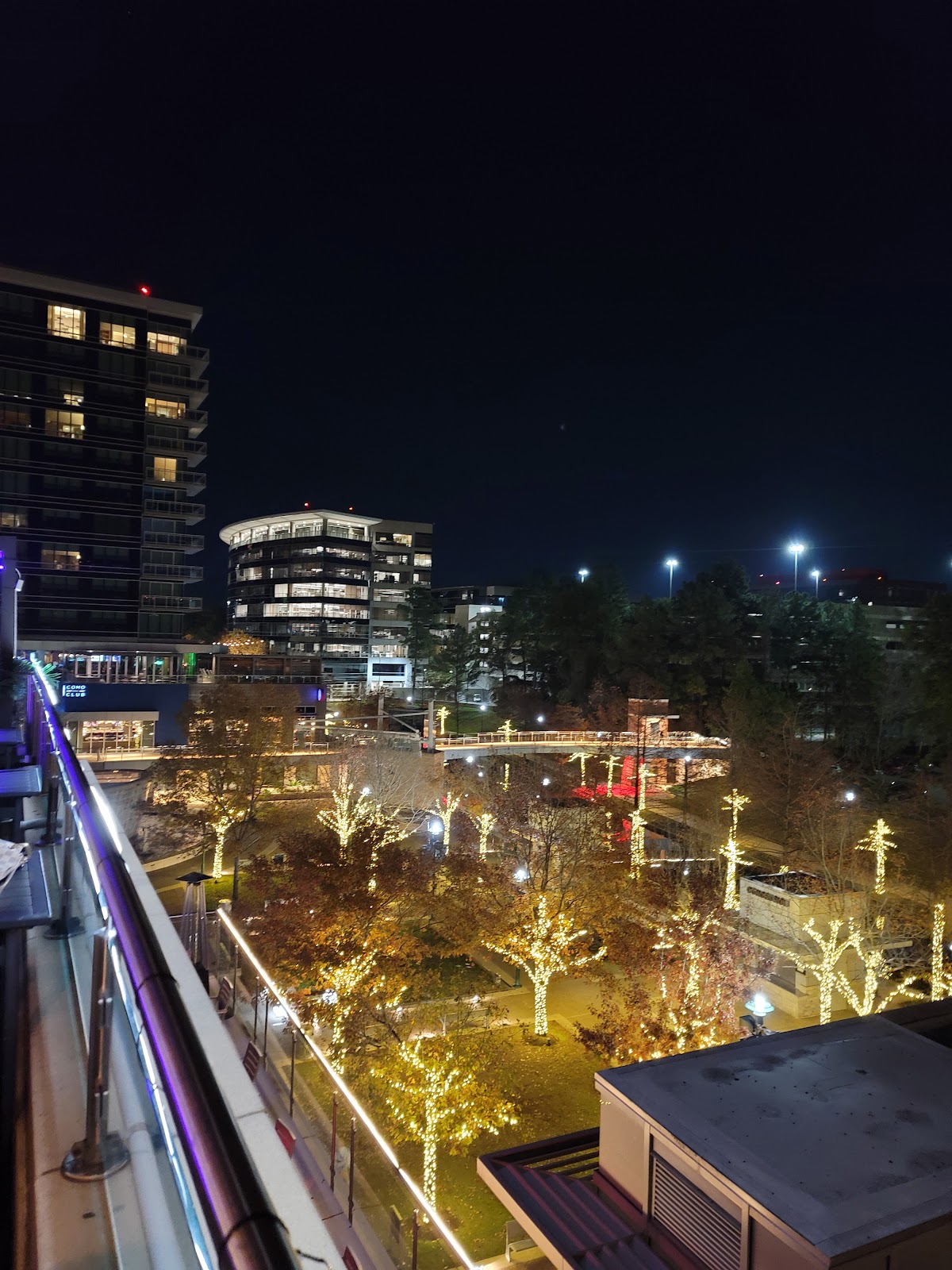 Rose Rooftop & Restaurant — photo 4