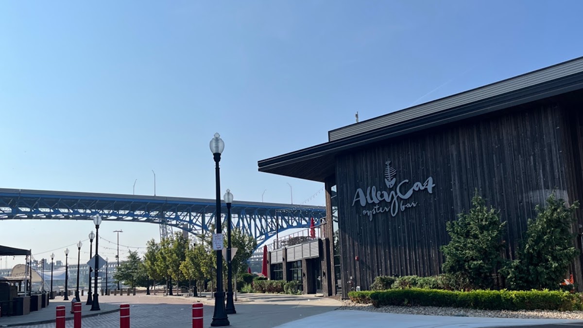 Alley Cat Oyster Bar — photo 5