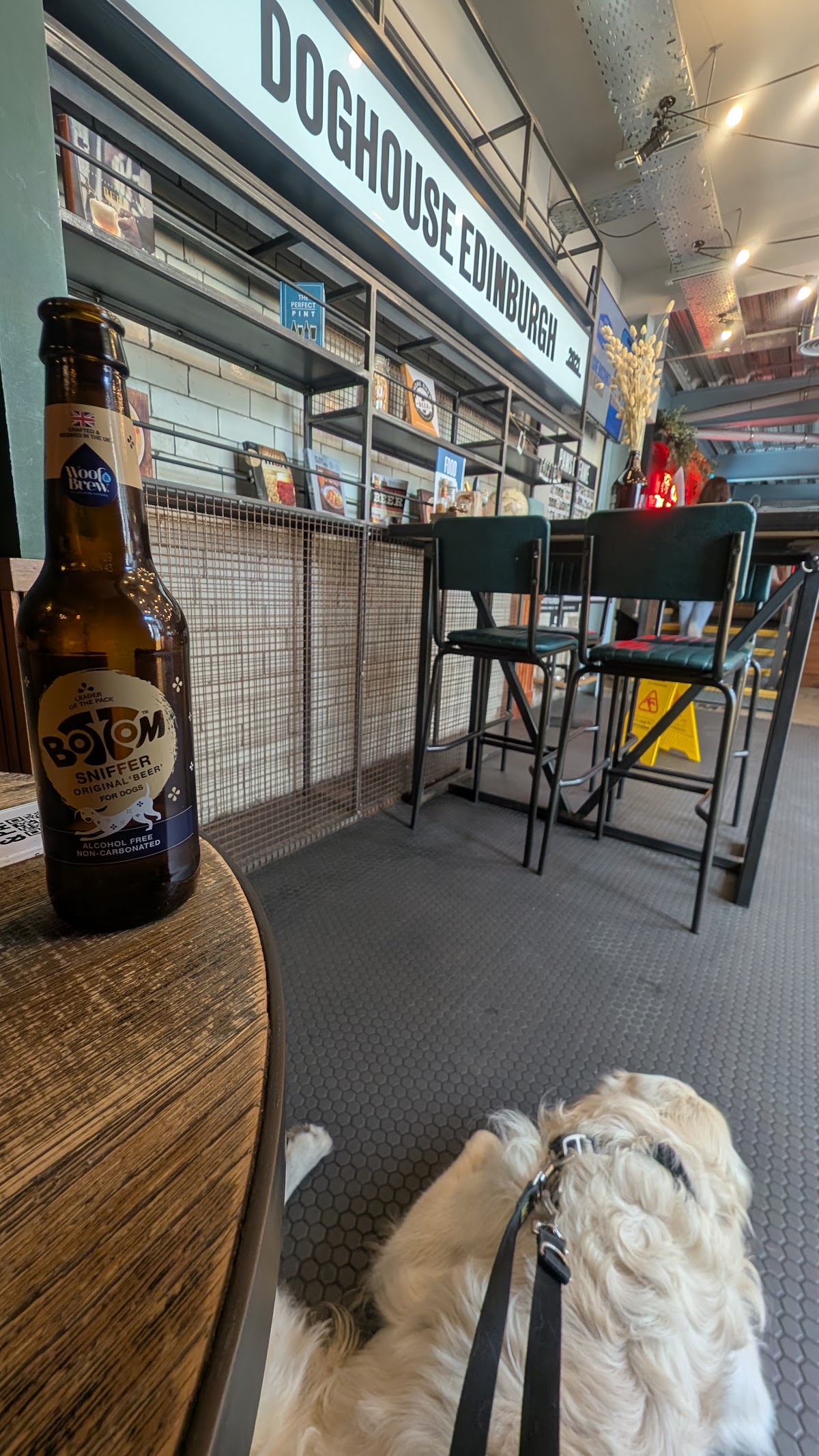 BrewDog DogHouse Edinburgh Bar & Terrace — photo 5