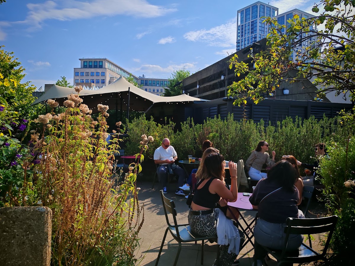 Queen Elizabeth Hall Roof Garden — photo 5