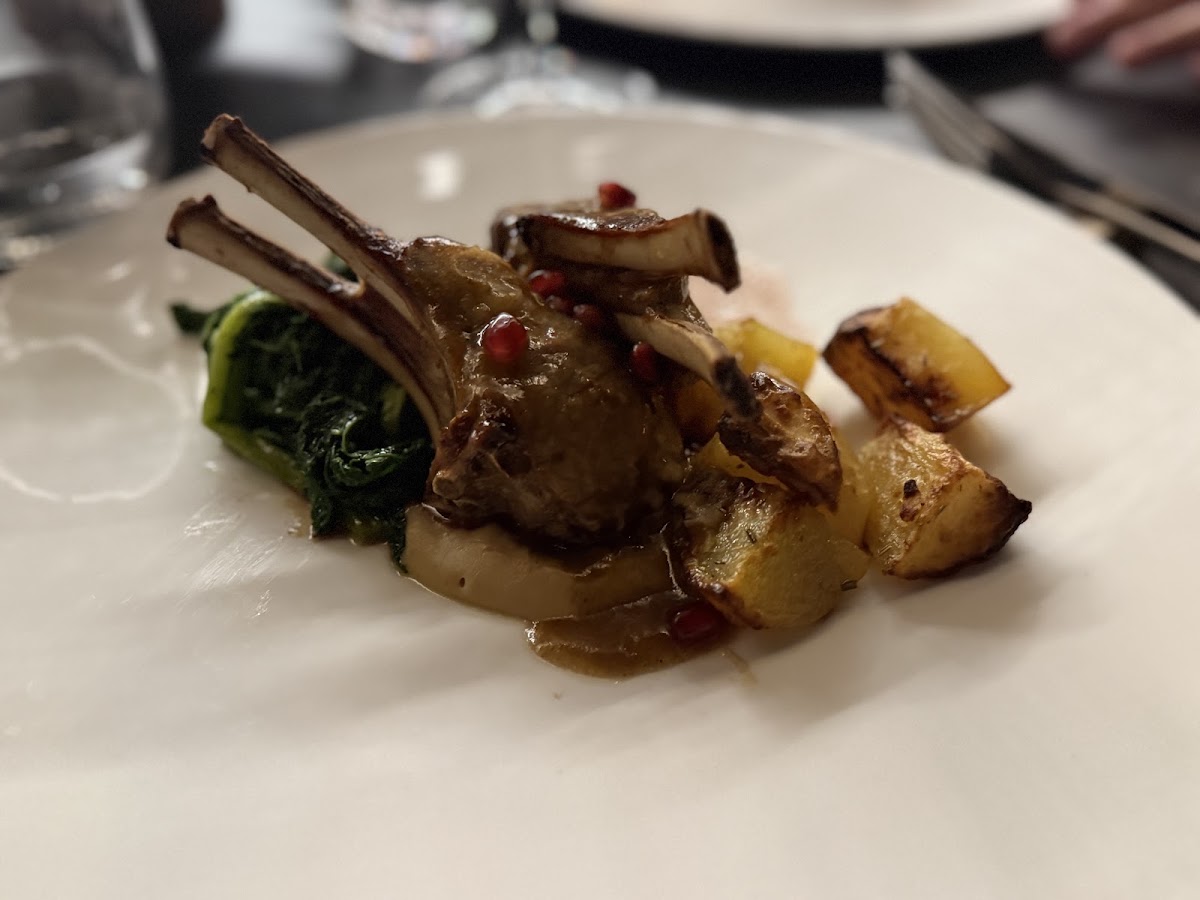 Ambrosia Rooftop Restaurant & Bar — photo 5