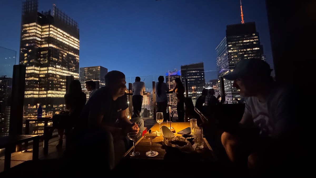 The Skylark - Rooftop Bar — photo 5