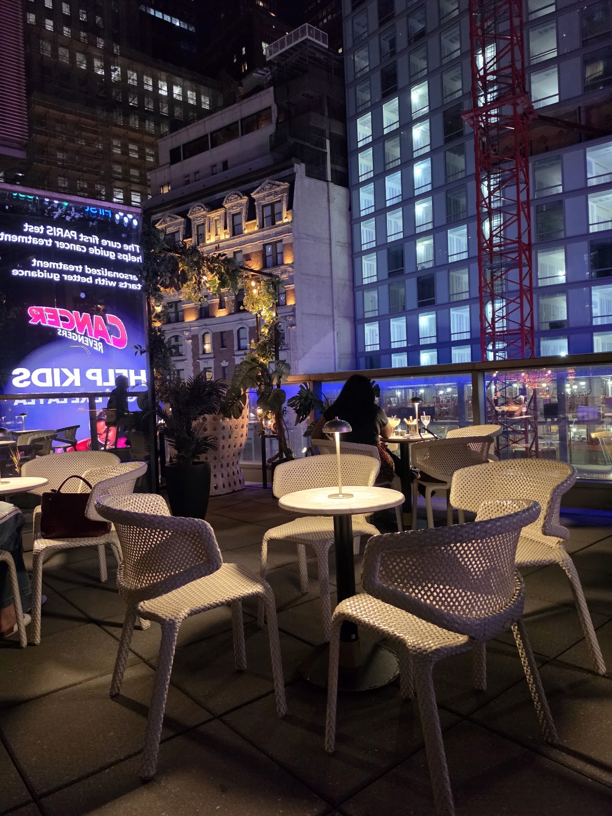 Dear Irving on Hudson Rooftop Bar — photo 5