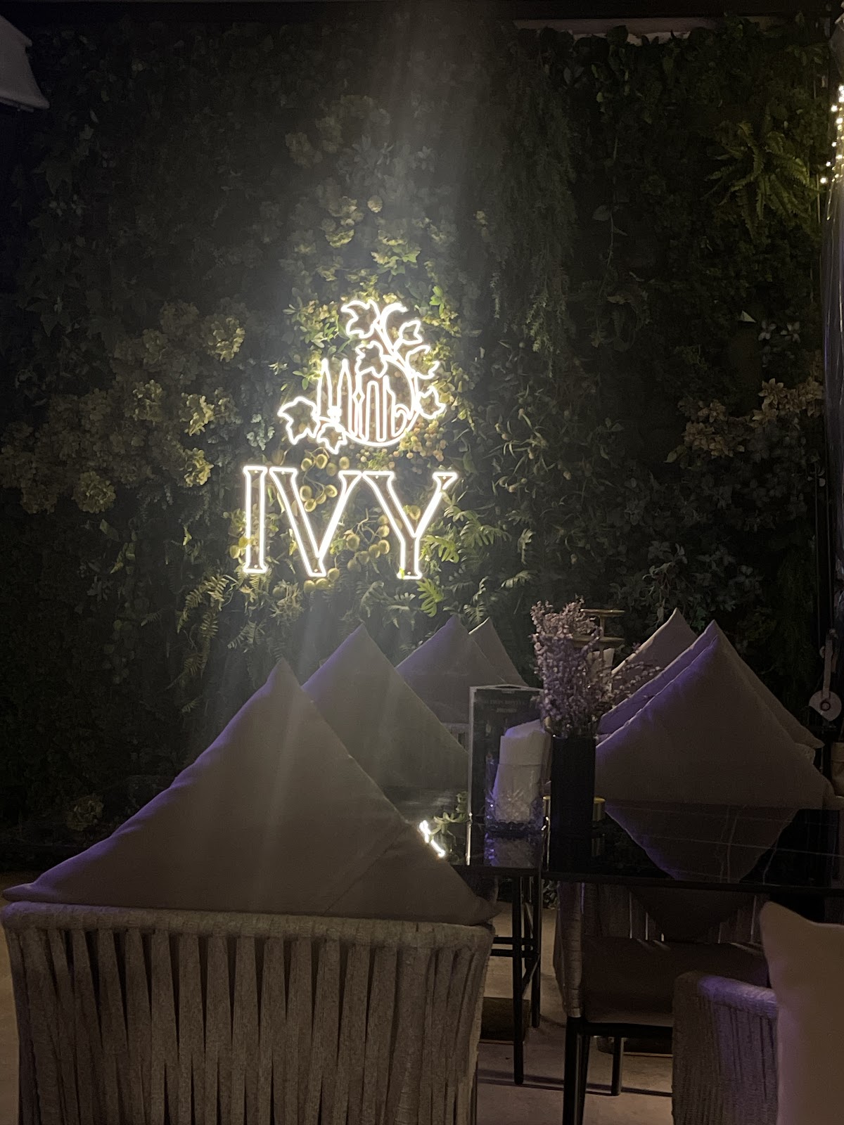 IVY Rooftop Restaurant Bar & Lounge — photo 5