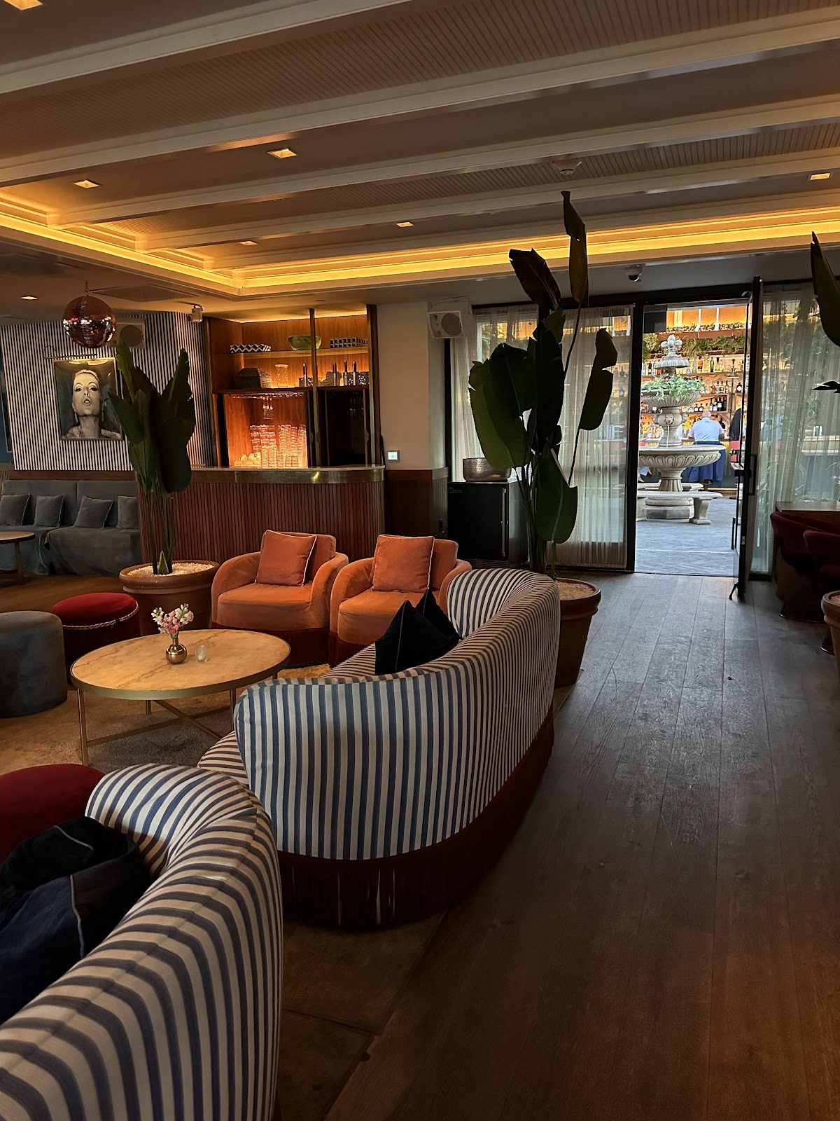 Bar Lis — photo 5