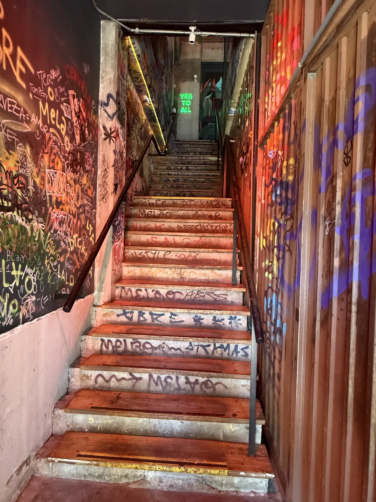 BARTOLA ROOFTOP — photo 5