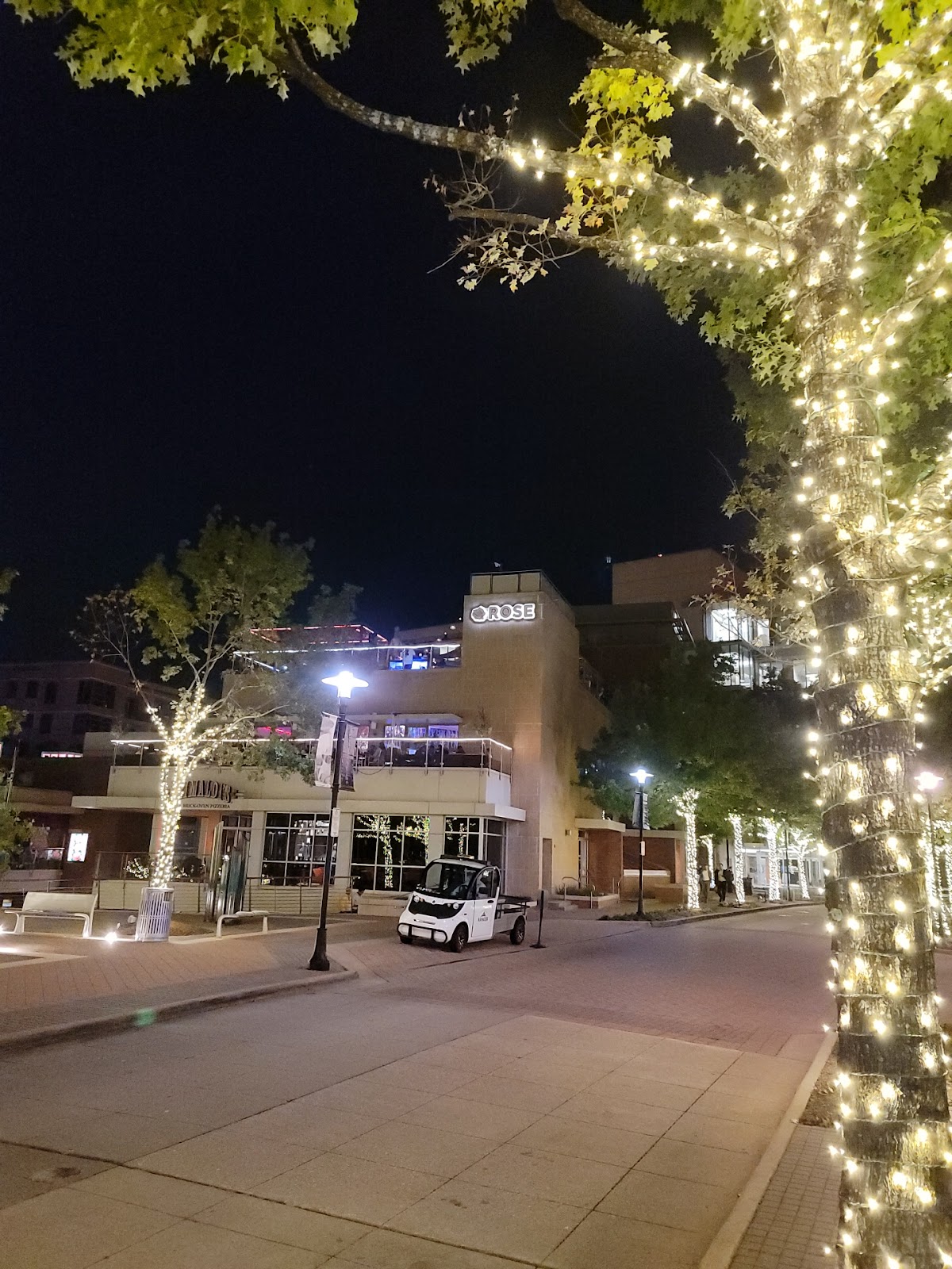 Rose Rooftop & Restaurant — photo 5