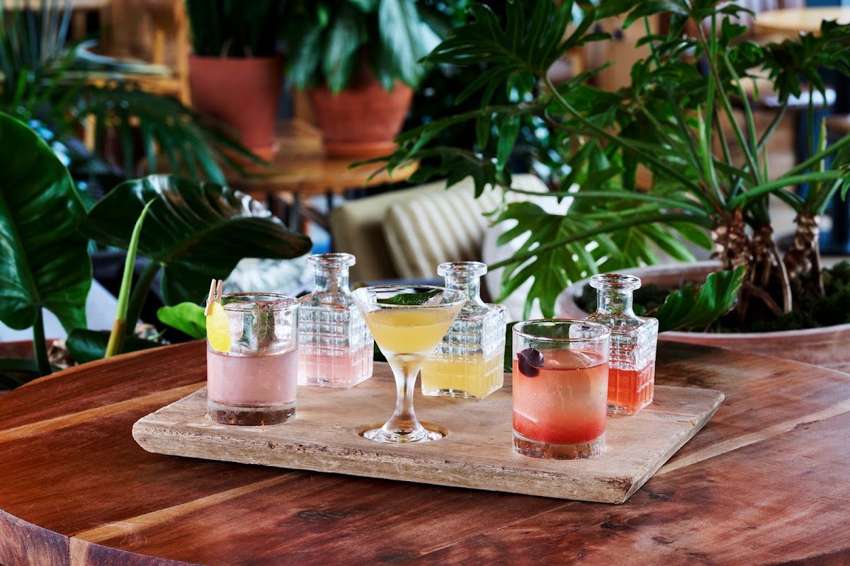 The Nest at Treehouse Hotel — photo 6